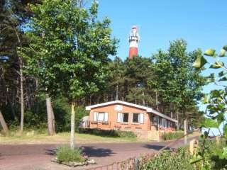 Gors bij de vuurtoren. 